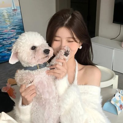 华灯初上第一季